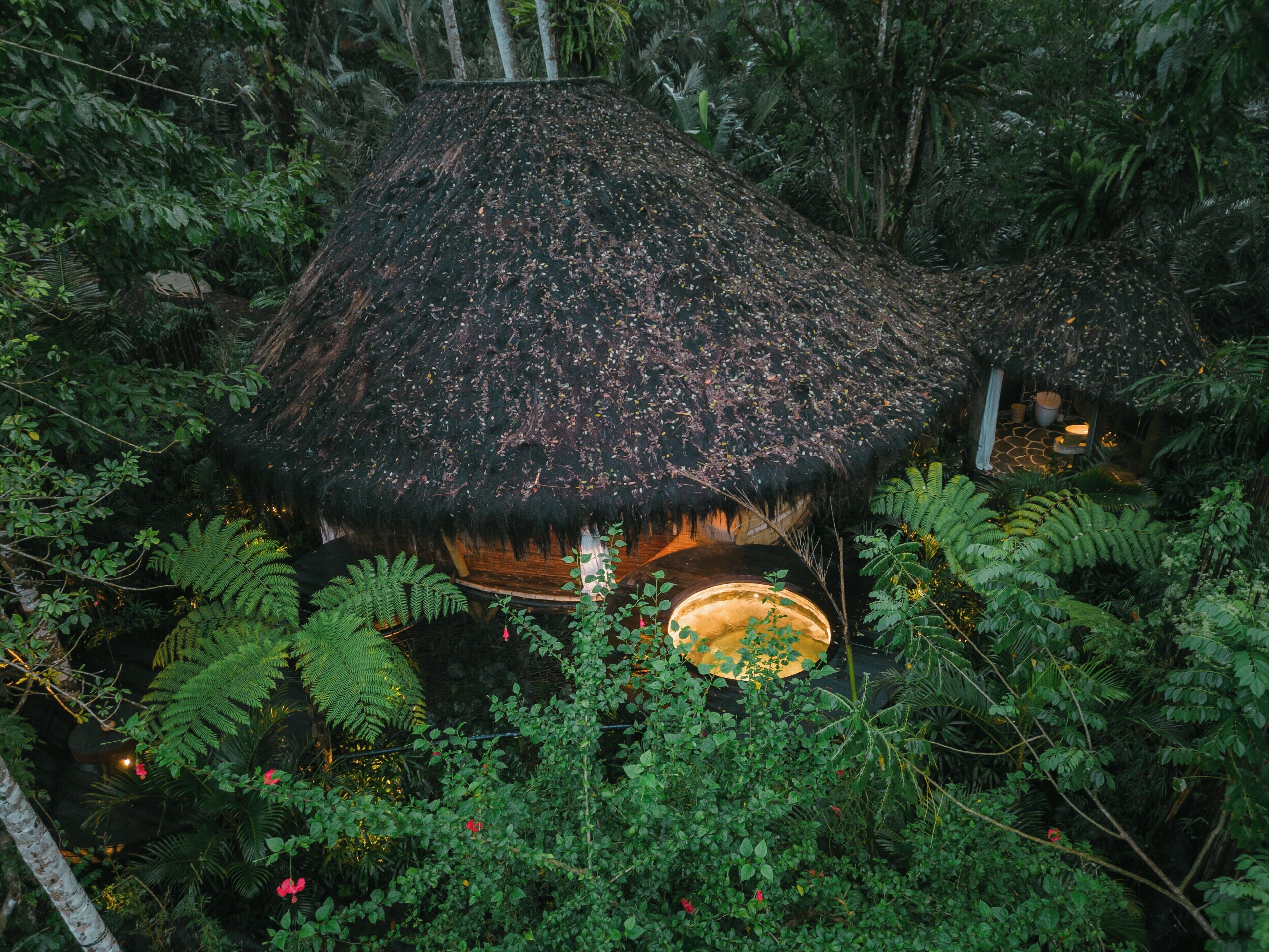 A thatched-roof hut surrounded by dense tropical foliage.