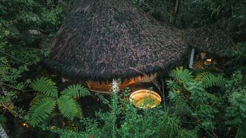 A thatched-roof hut surrounded by dense tropical foliage.