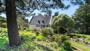 Una casa con techo inclinado, rodeada por un jardín exuberante con diversas plantas y flores.
