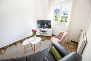 Fernseher, Kamin, Bücher