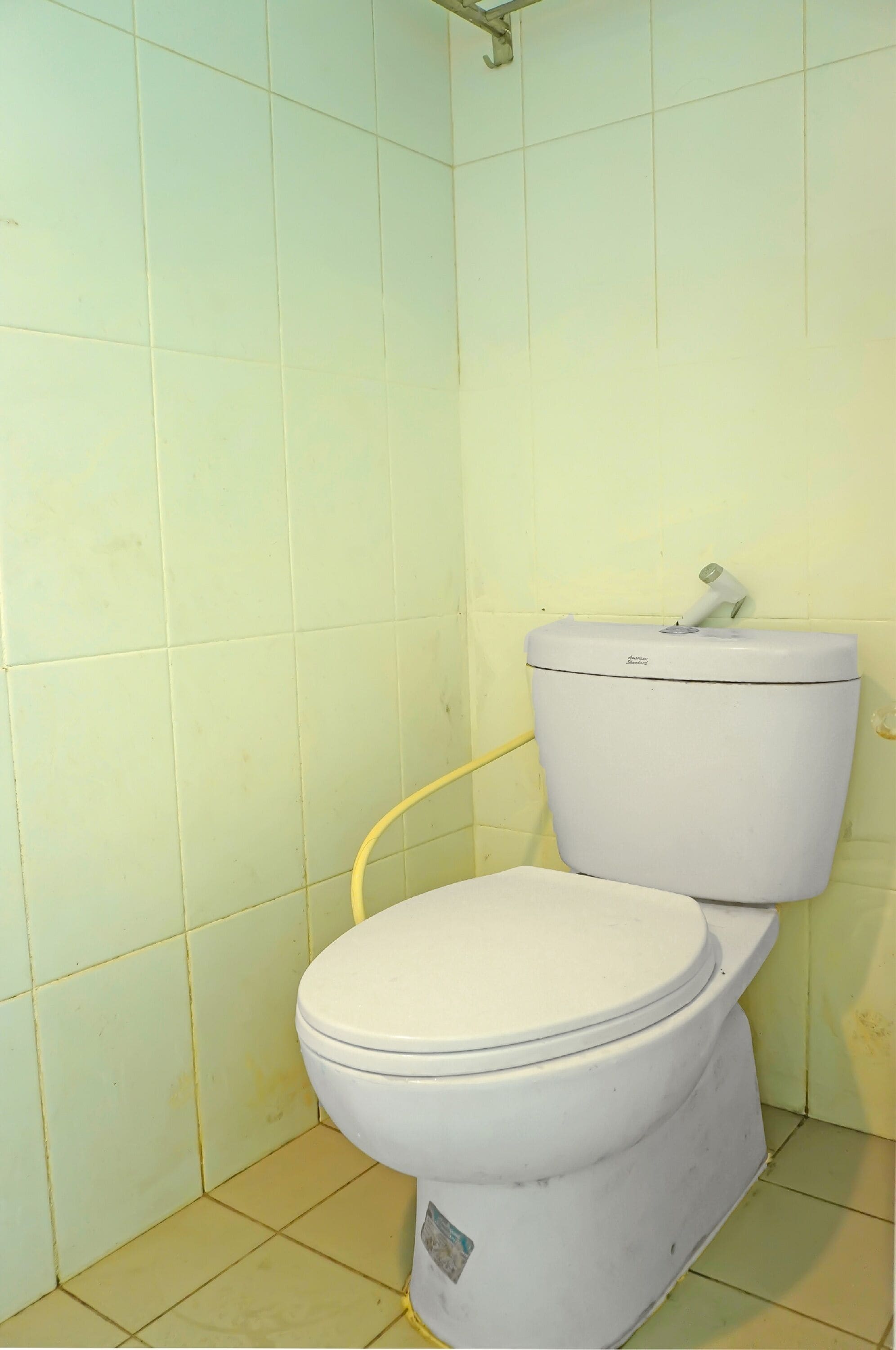 A standard white toilet in a bathroom with light green tiled walls and floor.