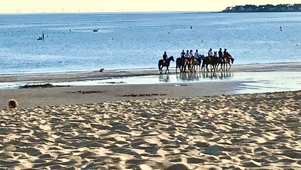 Une plage où un groupe de personnes fait de l’équitation.