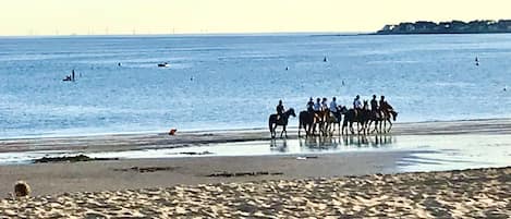 Plage à proximité