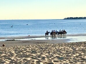 Playa en los alrededores
