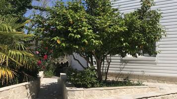 Terrein van de accommodatie