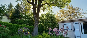 A l'ombre du frêne, maison avec jardin arboré. Idéal pour les amis de la nature.