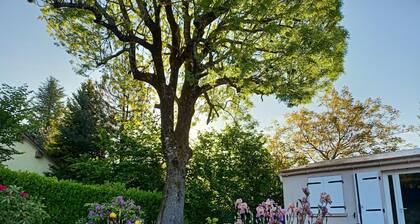 A L'ombre du Frêne, Maison Avec Jardin Arboré. Idéal Pour les Amis de la Nature
