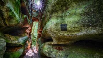 Miscellaneous