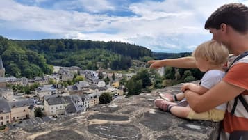 Terrain de l’hébergement