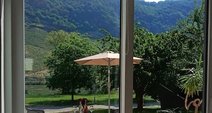 Neues Ferienhaus mit herrlichem Blick auf die Mosel