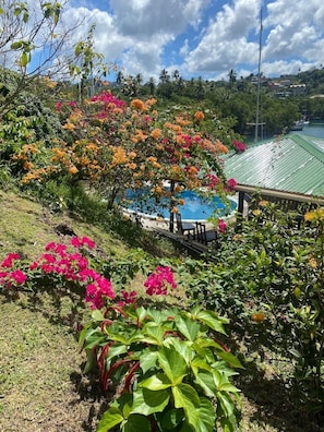 Outdoor pool - Star Lilly cottage with great views. (Marigot Bay)