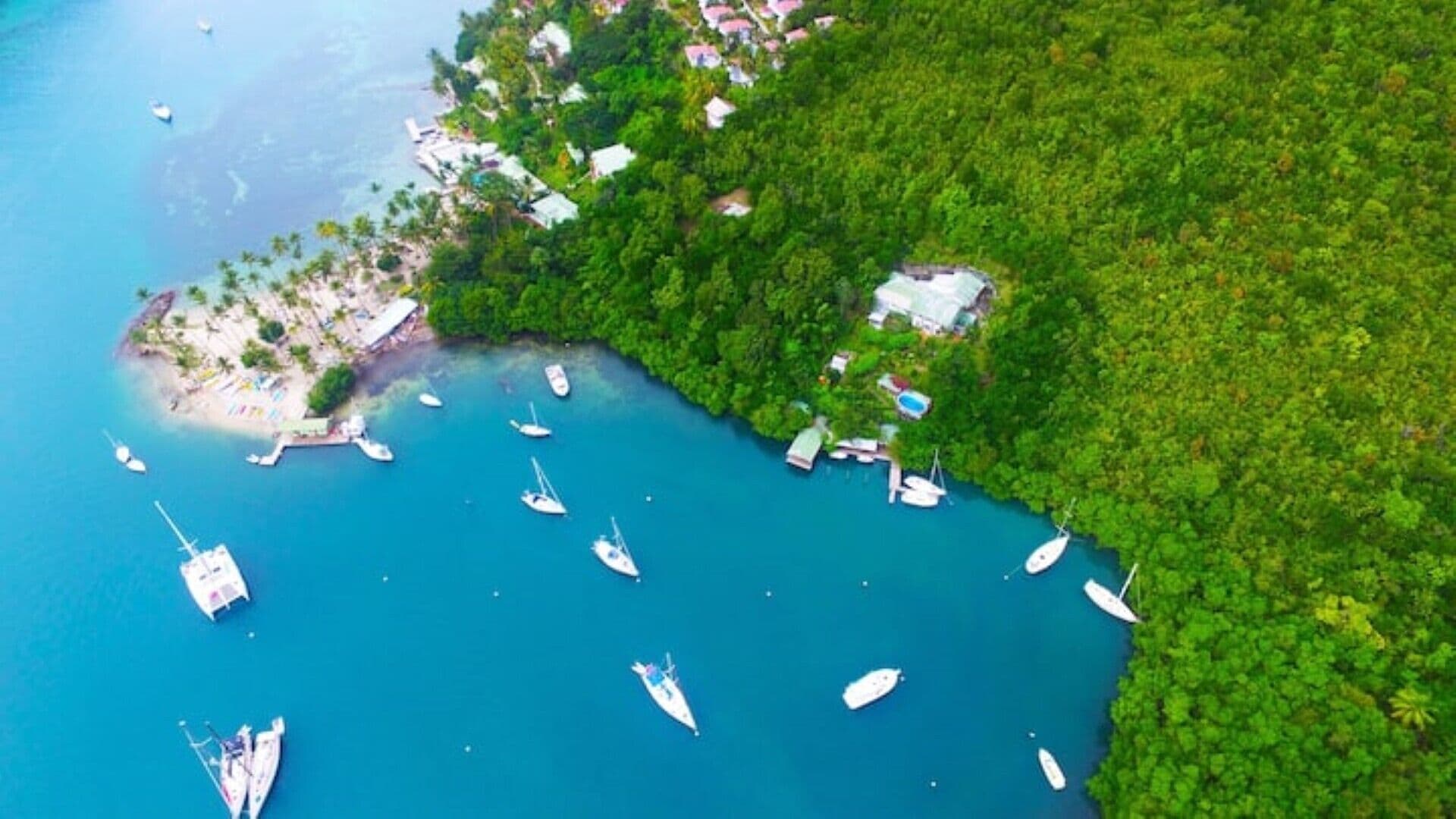 Vue aérienne d’une zone côtière, avec des bateaux amarrés près d’une plage et une forêt dense.