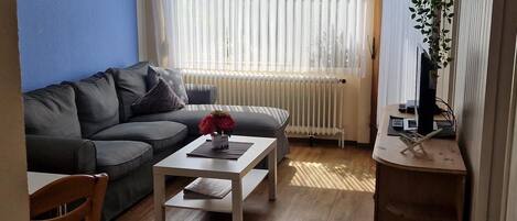 TV