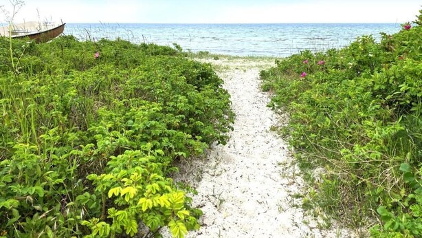 Ein sandiger Pfad führt zum Meer, gesäumt von dichtem Grün.