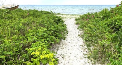 Close to the Lovely Beach, Copenhagen, Roskilde and Køge