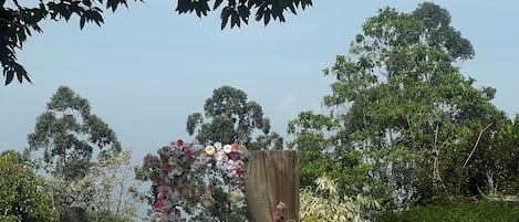 Un salón de bodas al aire libre con hileras de sillas, arreglos florales y un fondo de árboles.