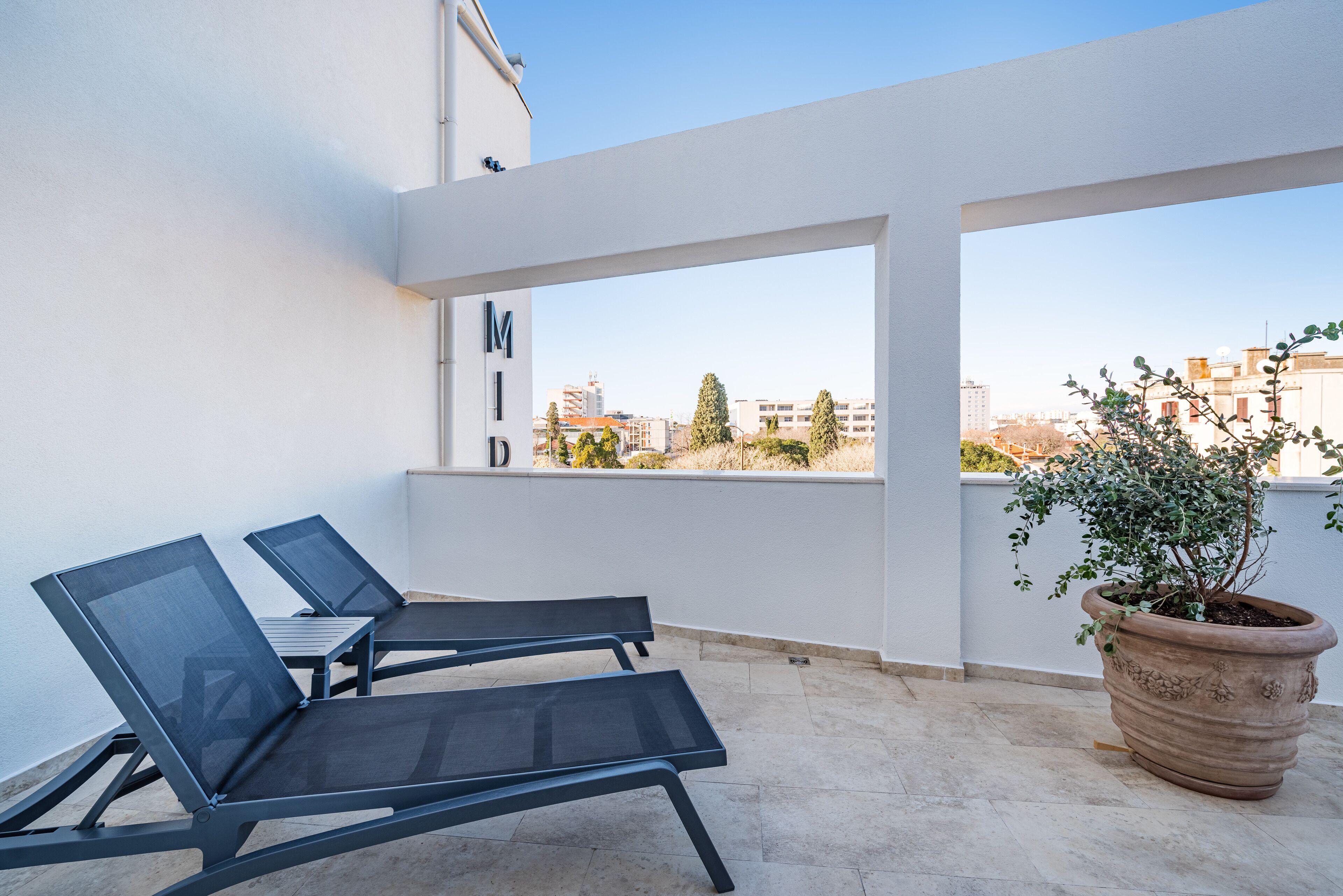 A balcony with two lounge chairs and a large potted plant.