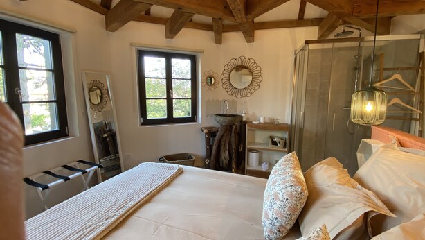 A bedroom with a large bed, a wooden ceiling, a window, a mirror, a bedside table, and a walk-in closet. - Le Parc du Séquoia : stay in a former apiary (Ostheim)