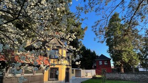 A traditional building with a yellow facade, surrounded by a well-maintained lawn and flowering trees. - Le Parc du Séquoia : stay in a former apiary (Ostheim)