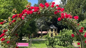 A garden with a wooden archway covered in red roses, a small yellow building, and a pink bench in the background. - Le Parc du Séquoia : stay in a former apiary (Ostheim)
