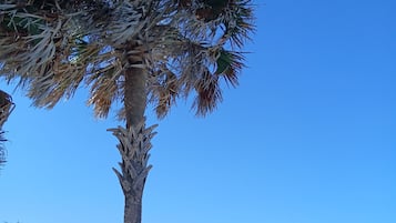 Beach nearby, sun-loungers, beach towels