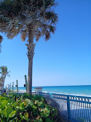 Una spiaggia nelle vicinanze, lettini da mare, teli da spiaggia