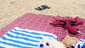 Eine Strandansicht mit einem Hund auf einer Handtuch, einem Paar Flip-Flops und einer Decke.