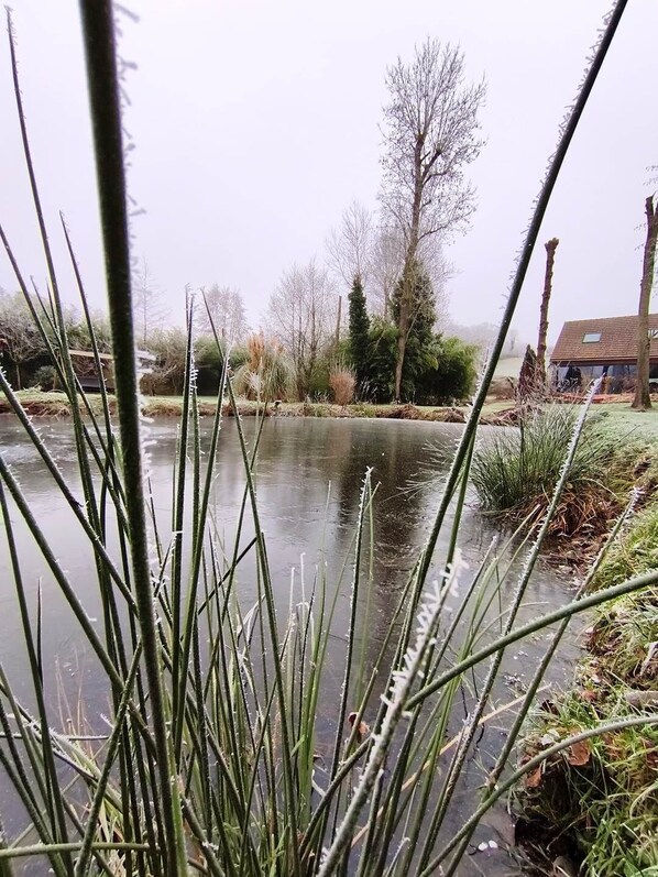 Un río con vegetación escasa y una casa al fondo.