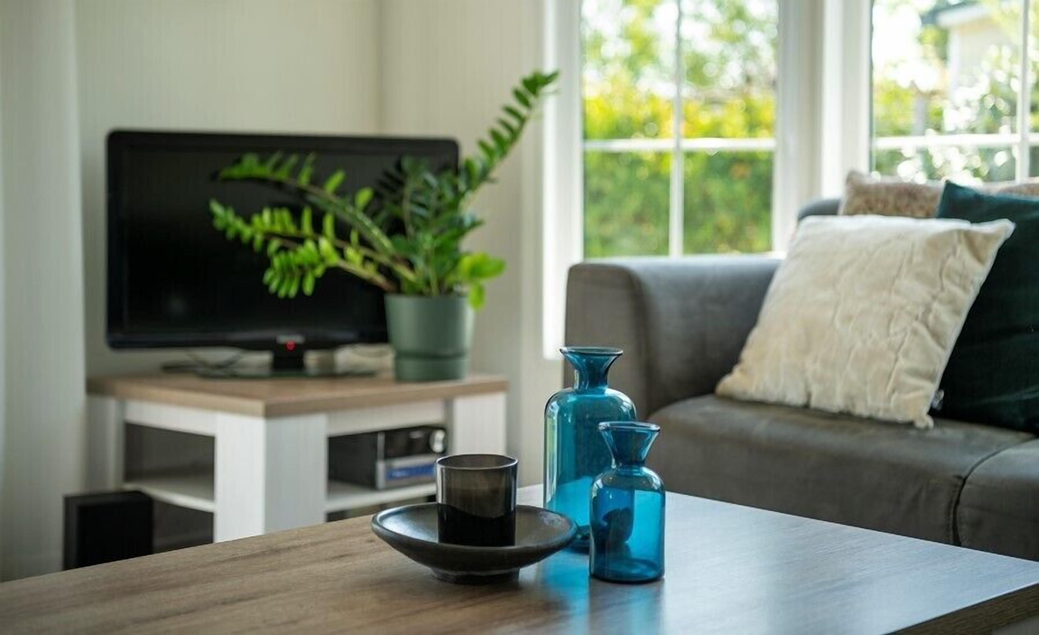 TV, table tennis, books, stereo