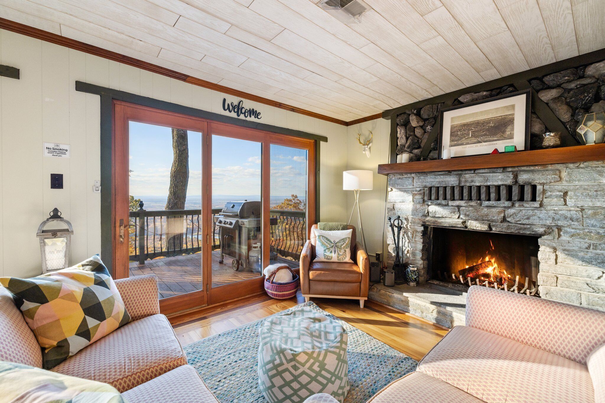 智能电视、壁炉