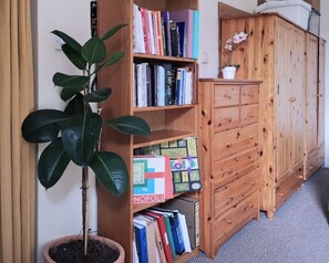 A room with a bookshelf, a wooden cabinet, and a potted plant.