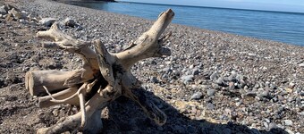 Heidi´s Reethaus in Strandnähe