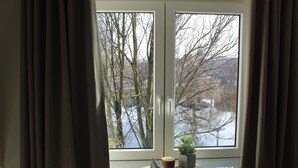 A room with a large window, a small plant, and a cushion on a windowsill. - Hotel Schwanenhof (Erkelenz)