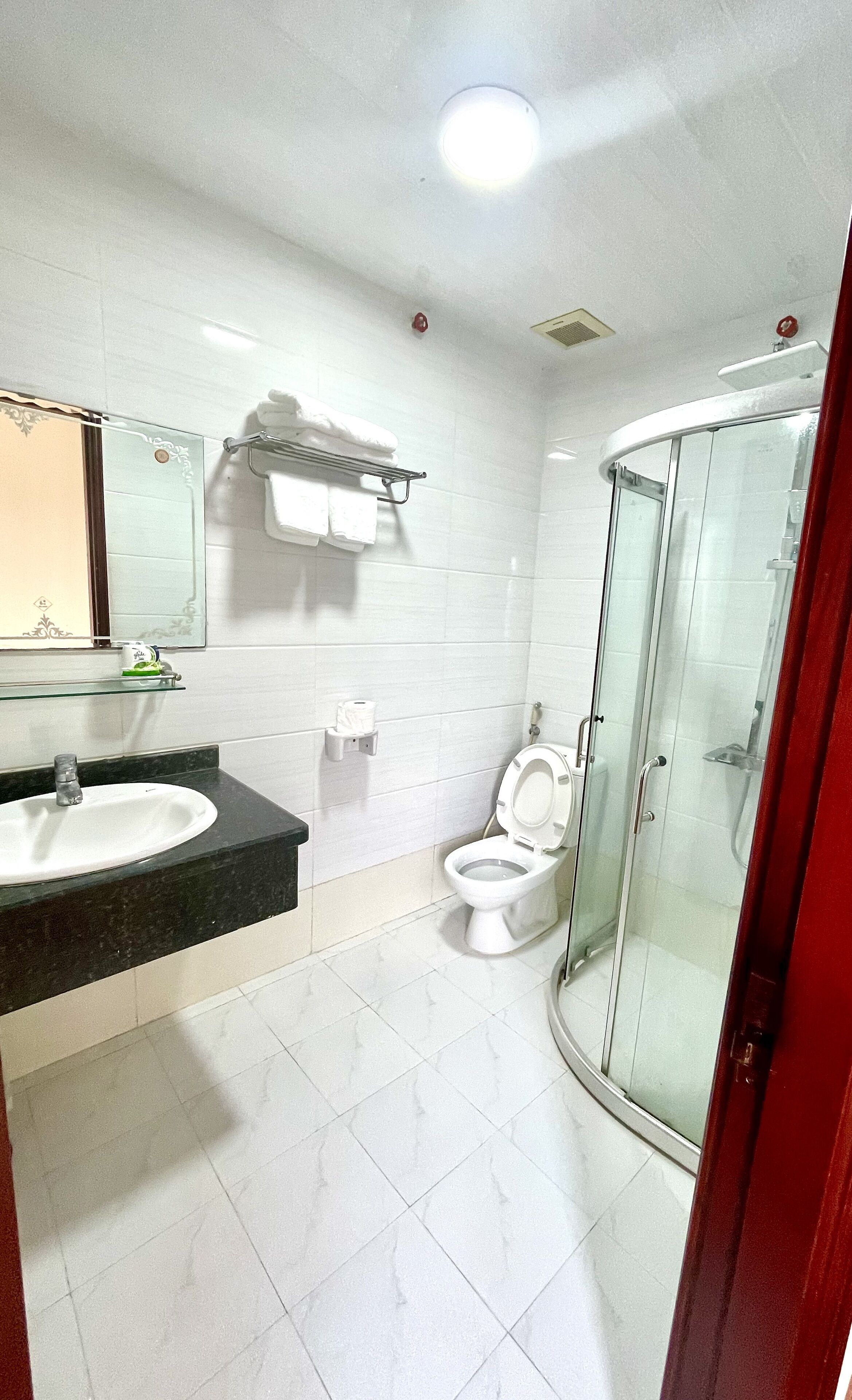 Une salle de bain équipée d’un lavabo, de toilettes et d’une douche à parois en verre.