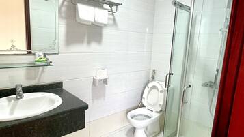 A bathroom with a sink, toilet, and glass shower enclosure.