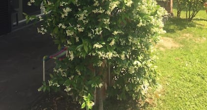 Villa "Bags" sweet vineyards and beautiful nature