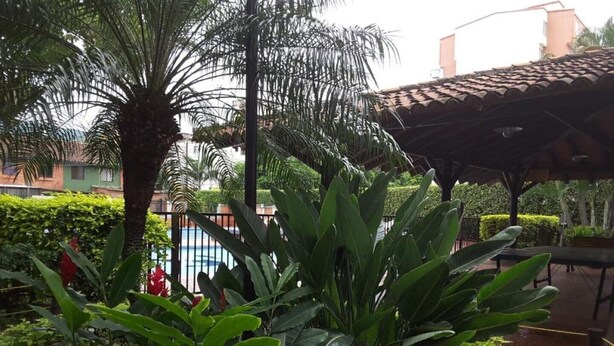 Un jardin luxuriant, avec une variété de plantes, et une piscine en arrière-plan.