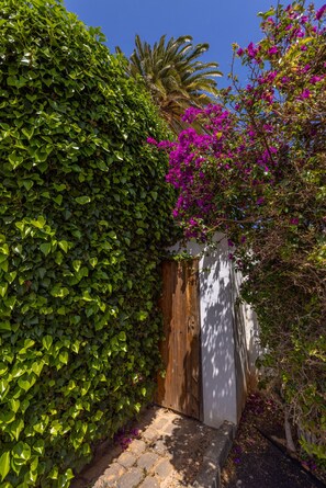Detalhe da fachada