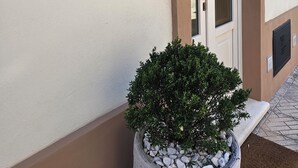 En bygningseingang med en dør, et skilt med teksten 'RETRO Feriebolig', og en potteplante med småsten.
