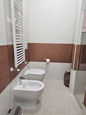 Shower, hair dryer, bidet, towels