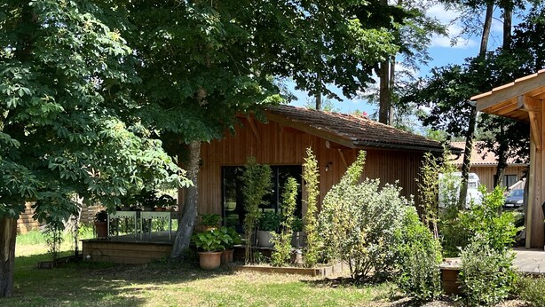 Una cabaña de madera con techo inclinado, rodeada de un jardín cuidado con plantas en macetas y césped.