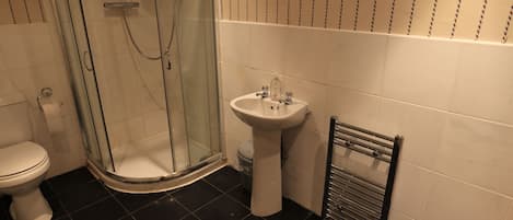 A bathroom with a glass-enclosed shower, a white sink, and a toilet.