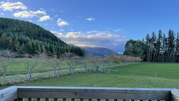 Une terrasse offrant une vue sur un champ verdoyant, des arbres et une montagne au loin.
