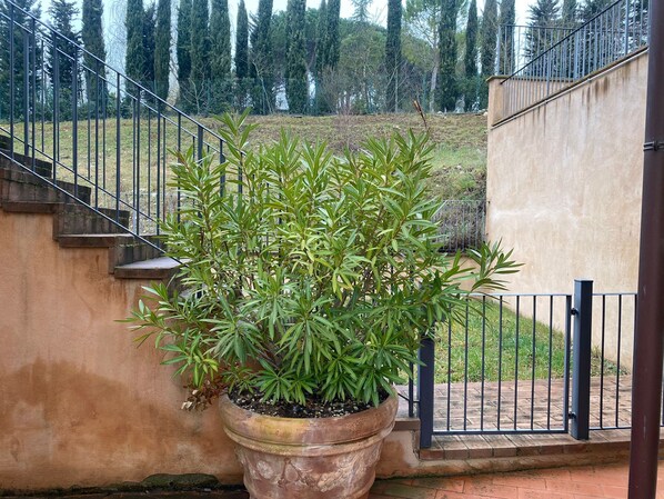 Garden - Casa di Emilio (Gaiole in Chianti)