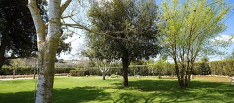 Country House / Farm House in Martina Franca with 7 bedrooms sleeps 18