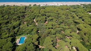 An aerial view of a lush green forest with a swimming pool and a beach in the background.