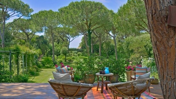 A wooden deck with wicker chairs and a table, surrounded by lush greenery and trees.