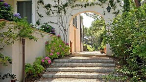 A stone staircase leading to a building entrance, surrounded by lush greenery and flowering plants.