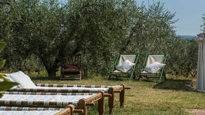 A garden with two green lounge chairs and a wooden bench.