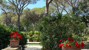 A garden pathway surrounded by lush greenery and potted red flowers.